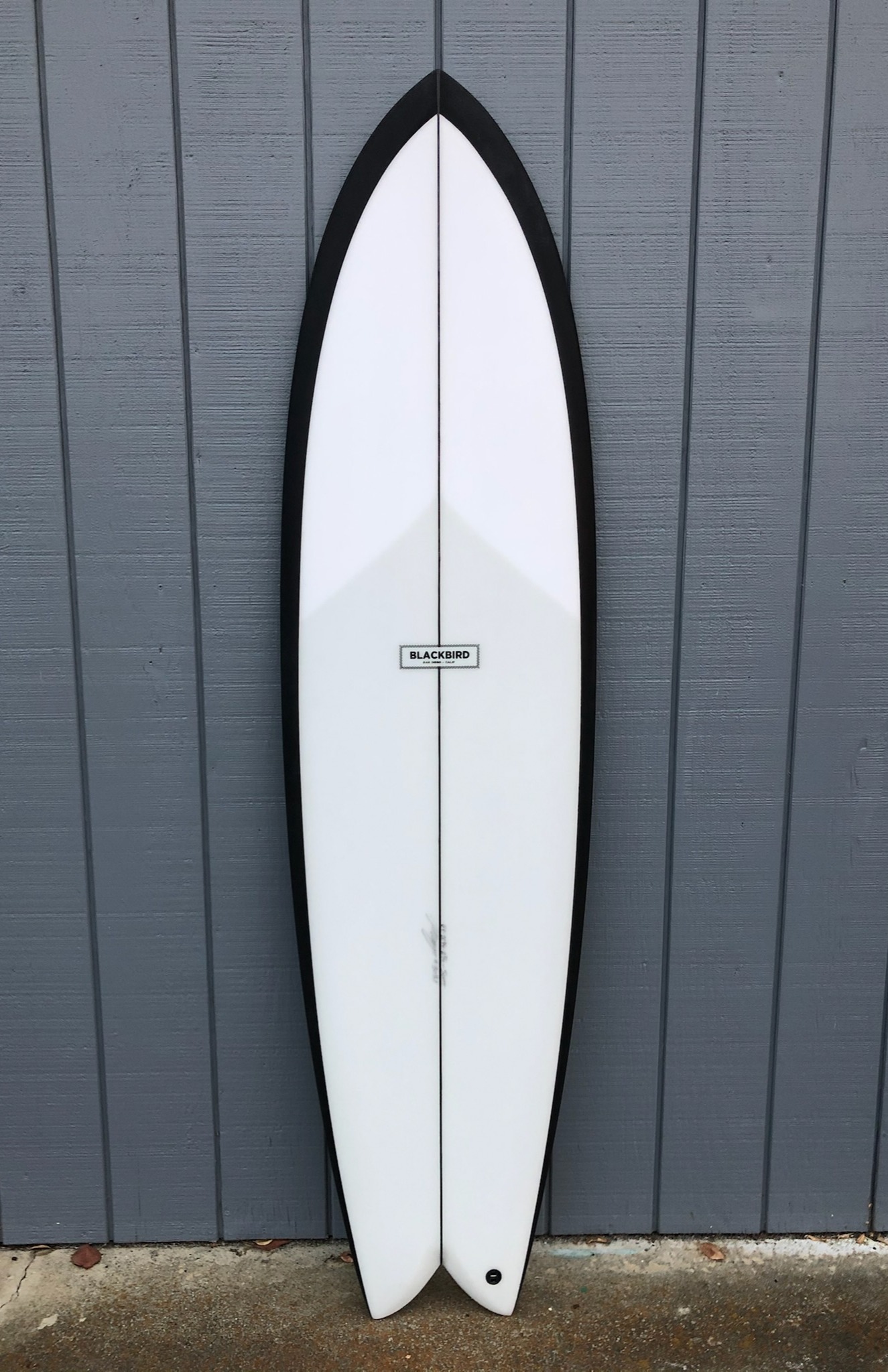 LAF (Long Ass Fish) - Mid Lengths by Blackbird Surfboards